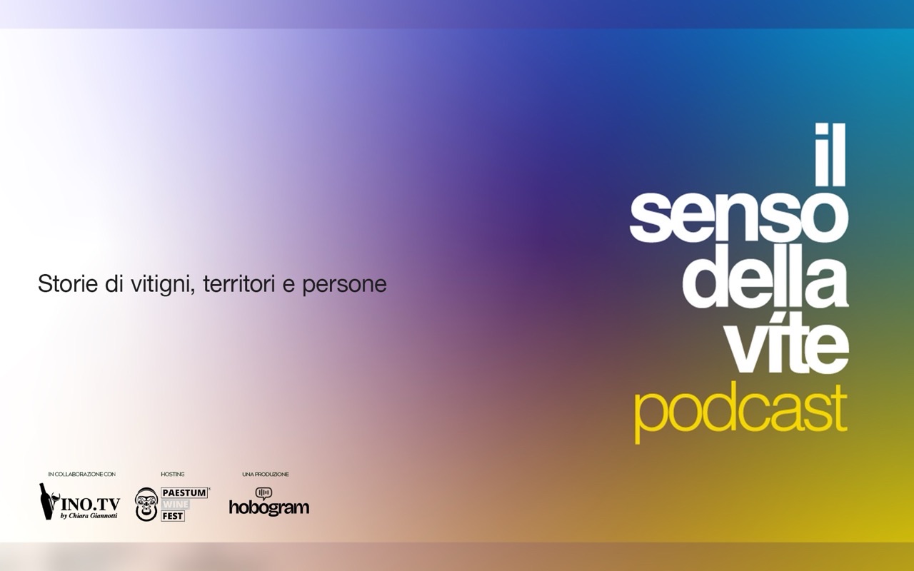 Il senso della vite